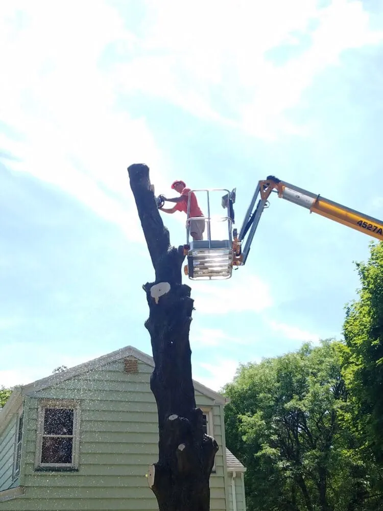 Top-rated outdoor landscaping in Williamson, NY by 3-D Property Maintenance