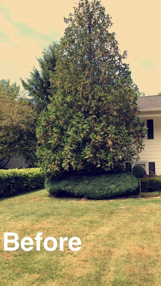 Expert landscaping services in Williamson, NY by 3-D Property Maintenance