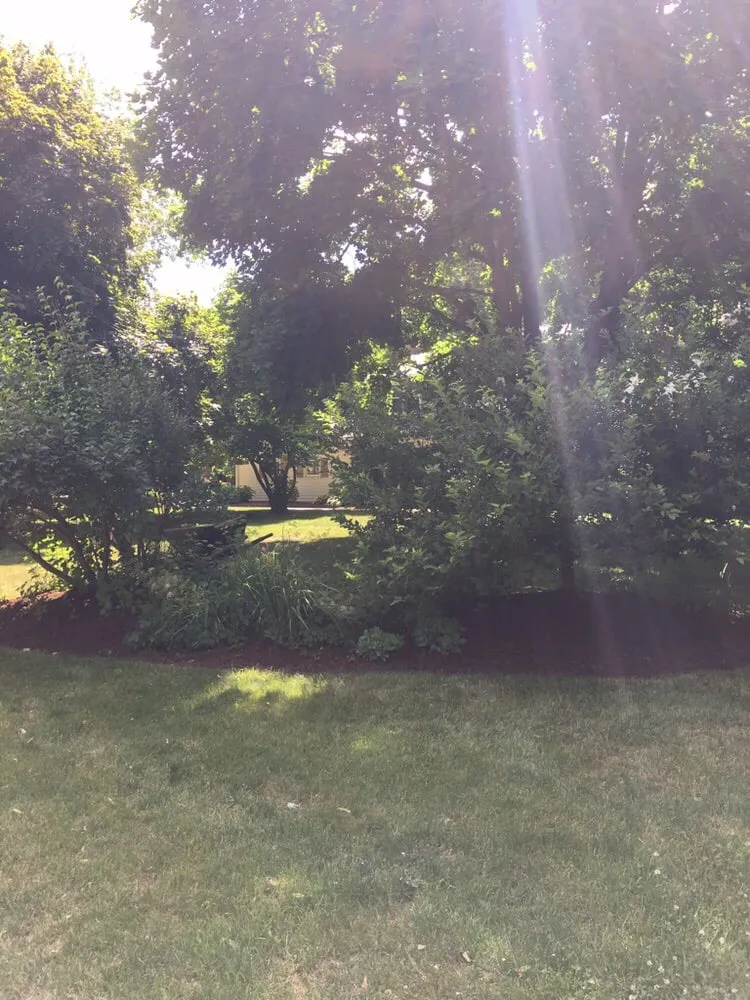 Local lawn mowing service for beautiful yards across Williamson, NY - 3-D Property Maintenance