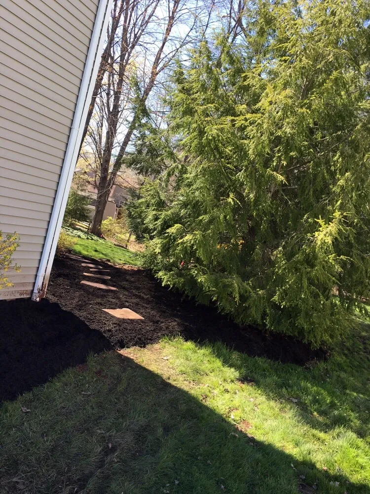 Professional landscaping services in Williamson, NY by 3-D Property Maintenance