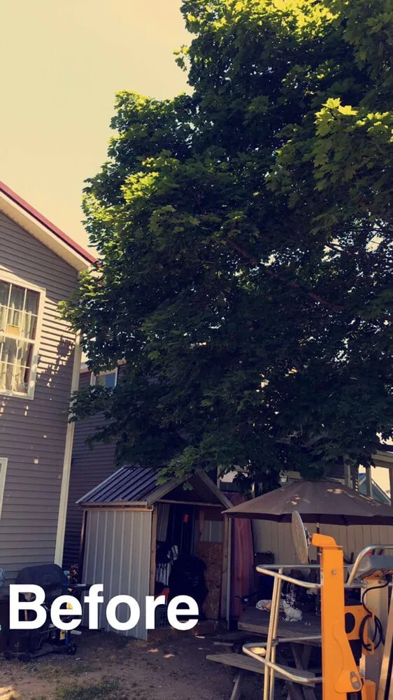 Custom outdoor landscaping for homes across Williamson, NY - 3-D Property Maintenance