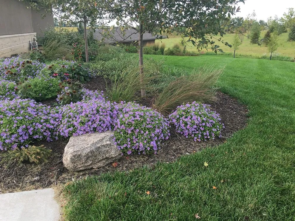 Custom lawn mowing service in Lincoln, NE by 3 Dogs & A Girl