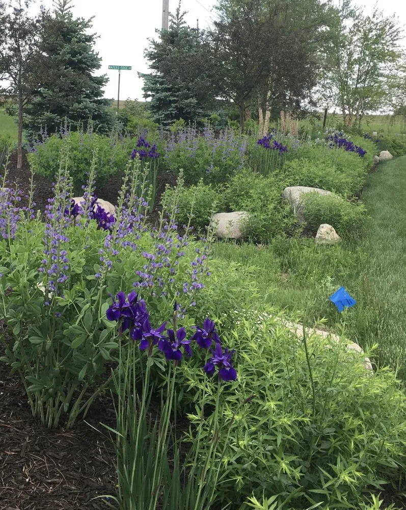 Professional lawn mowing service for residential properties in Lincoln, NE by 3 Dogs & A Girl