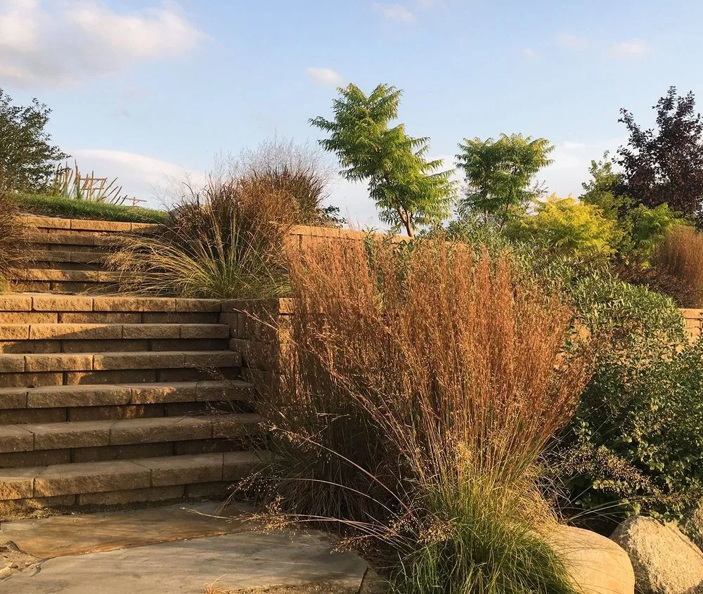 Trusted yard cleanup service in Lincoln, NE by 3 Dogs & A Girl