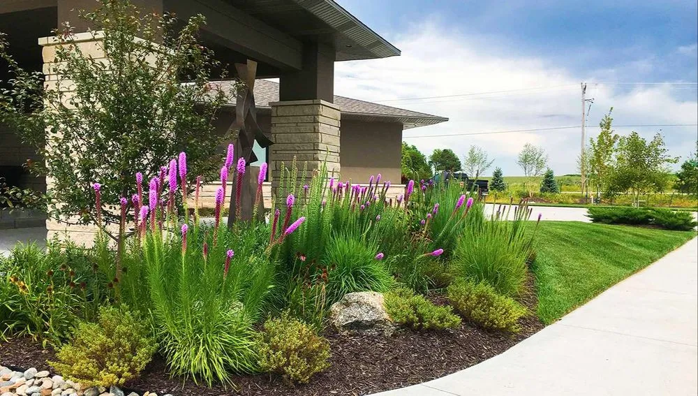 Affordable lawn mowing service in Lincoln, NE by 3 Dogs & A Girl