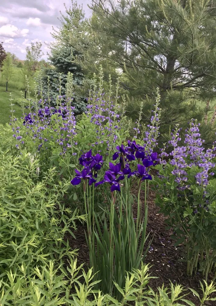 Trusted garden landscaping experts serving Lincoln, NE - 3 Dogs & A Girl