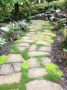 Top-rated yard maintenance for outdoor upgrades across Asheville, NC - 3 Elements Landscaping