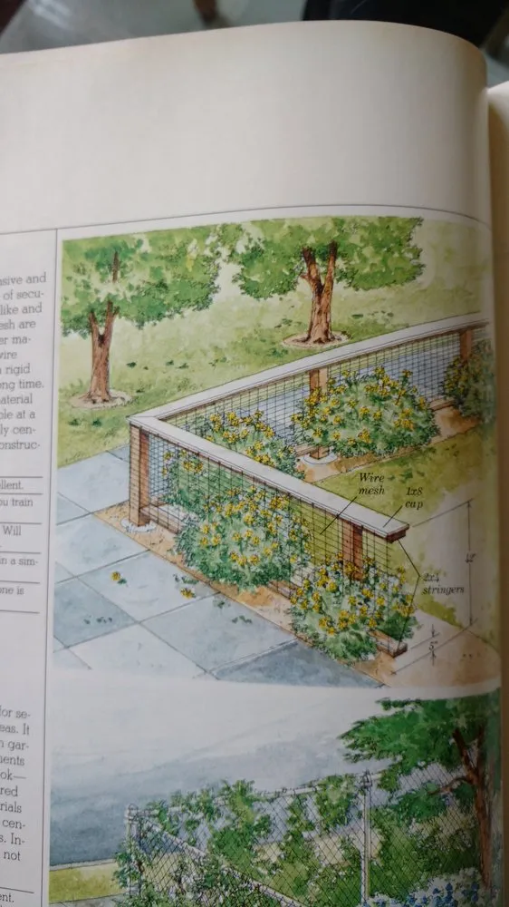 Top-rated garden landscaping for year-round maintenance in Asheville, NC by 3 Elements Landscaping