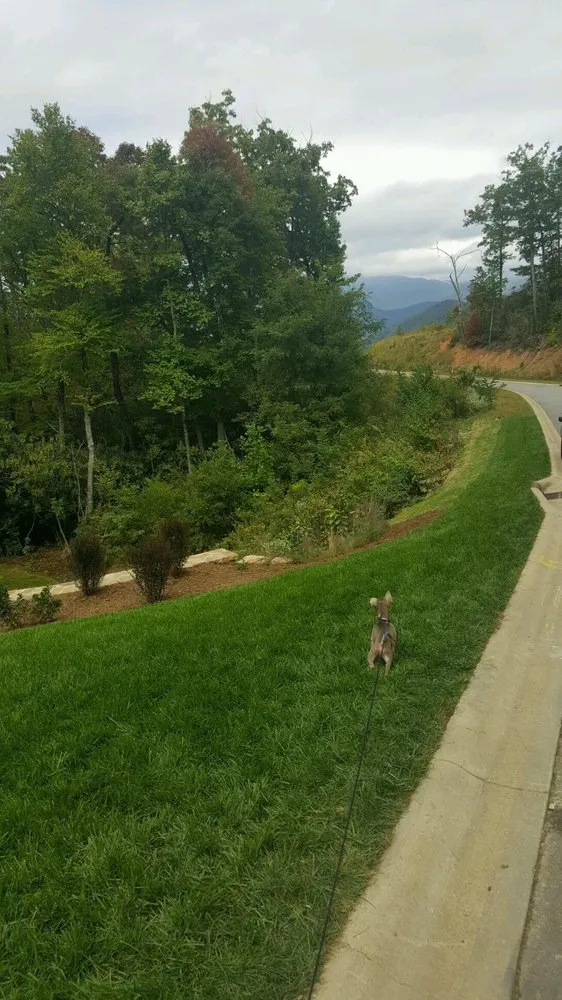 Affordable landscape installation for outdoor upgrades across Asheville, NC - 3 Elements Landscaping