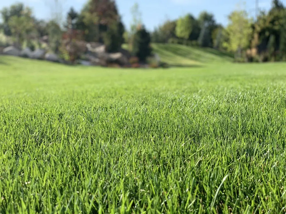 Reliable yard maintenance for homes in Nampa, ID by 3 Generations Landscape