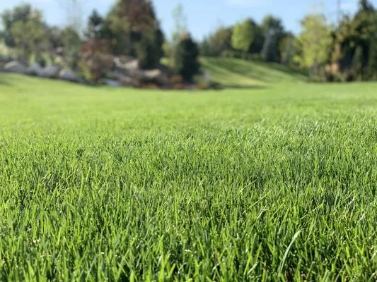 3 Generations Landscape Logo