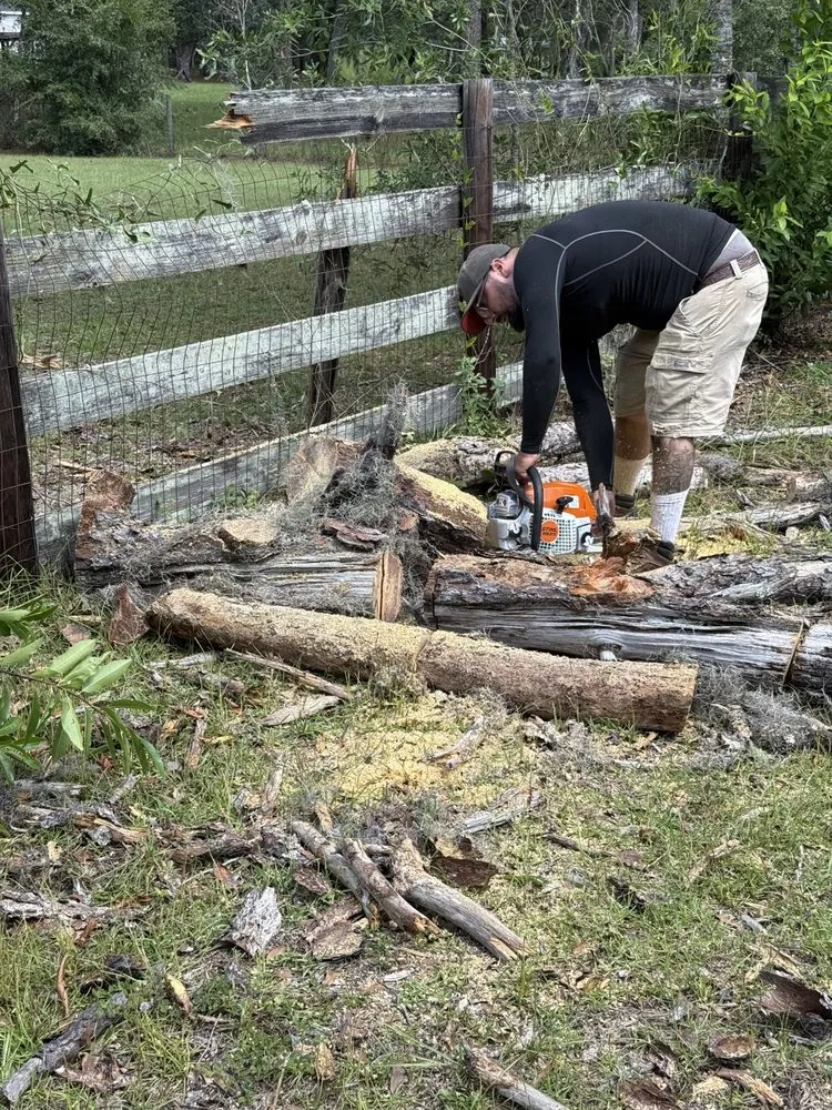 Top-rated residential landscaping in Ocala, FL by 3 Gremlins