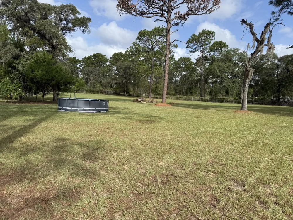 Professional lawn mowing service experts serving Ocala, FL - 3 Gremlins