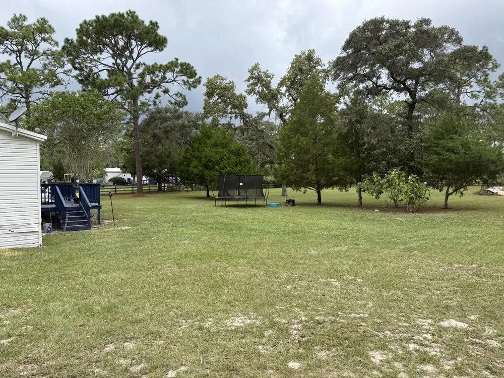 Expert residential landscaping in Ocala, FL by 3 Gremlins