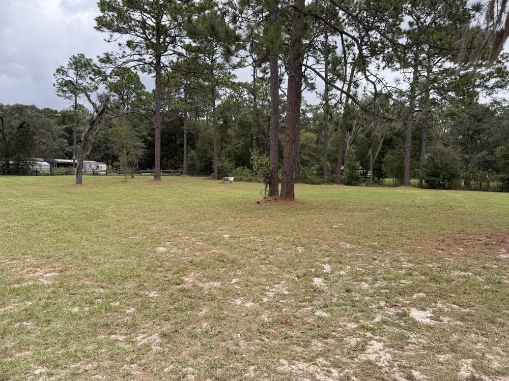 Expert lawn mowing service in Ocala, FL - 3 Gremlins