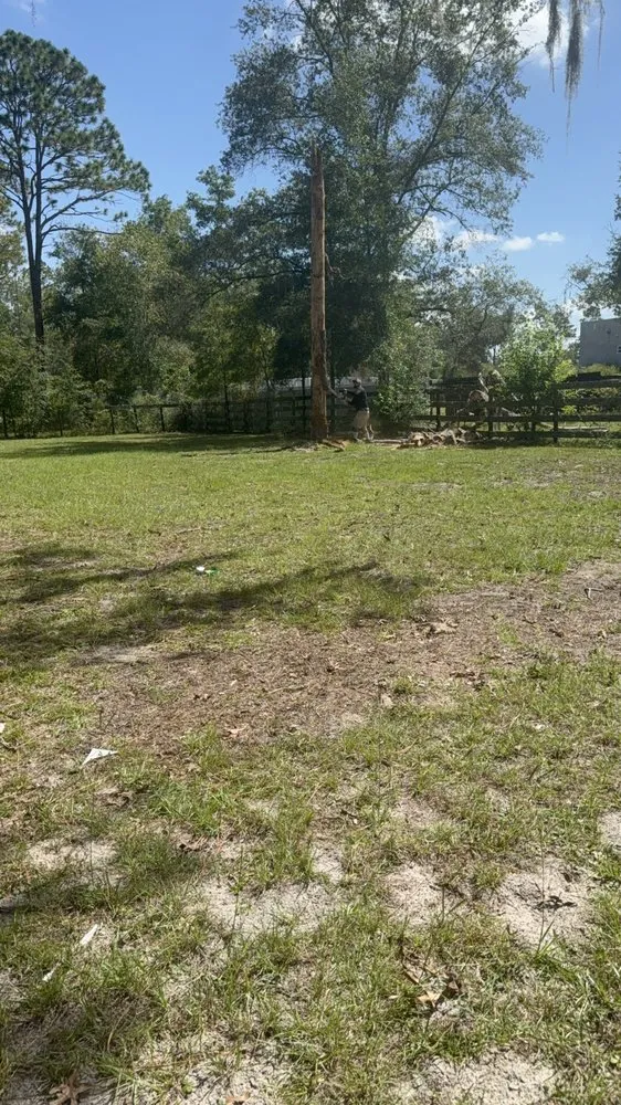 Custom yard cleanup service for homes across Ocala, FL - 3 Gremlins