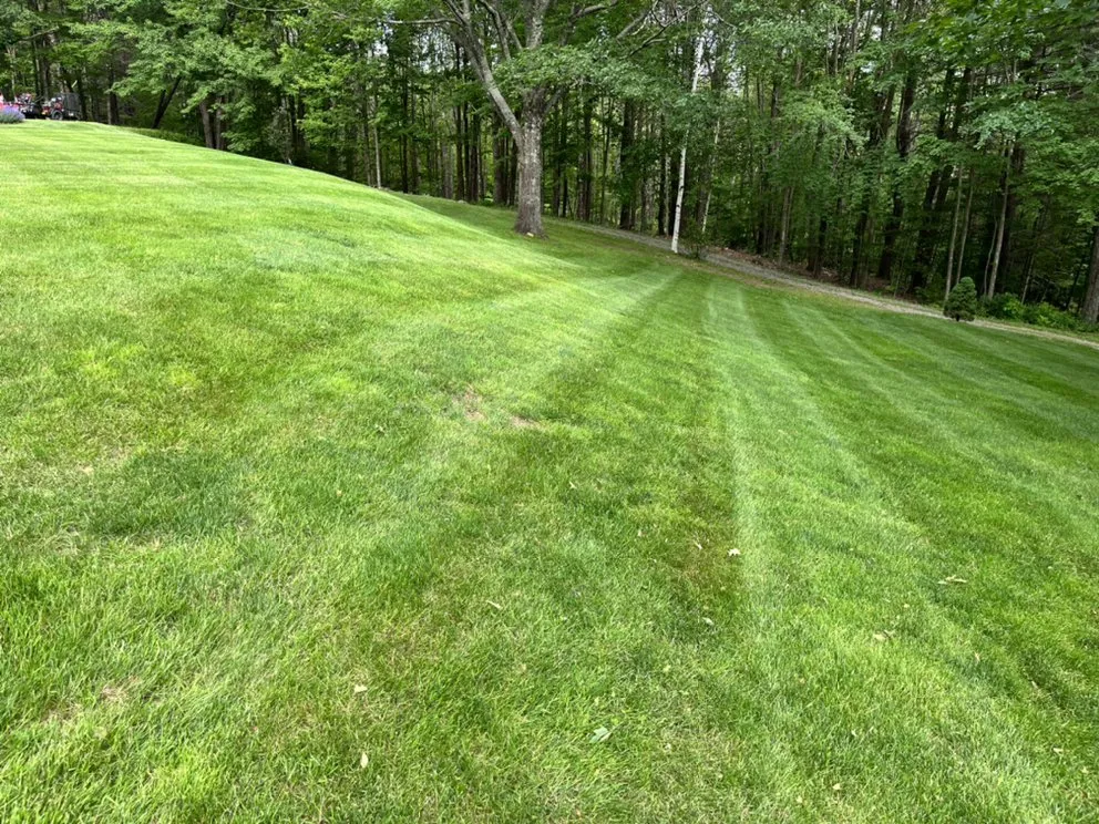 Trusted lawn care service in Laconia, NH by 3 in 1 Property Services
