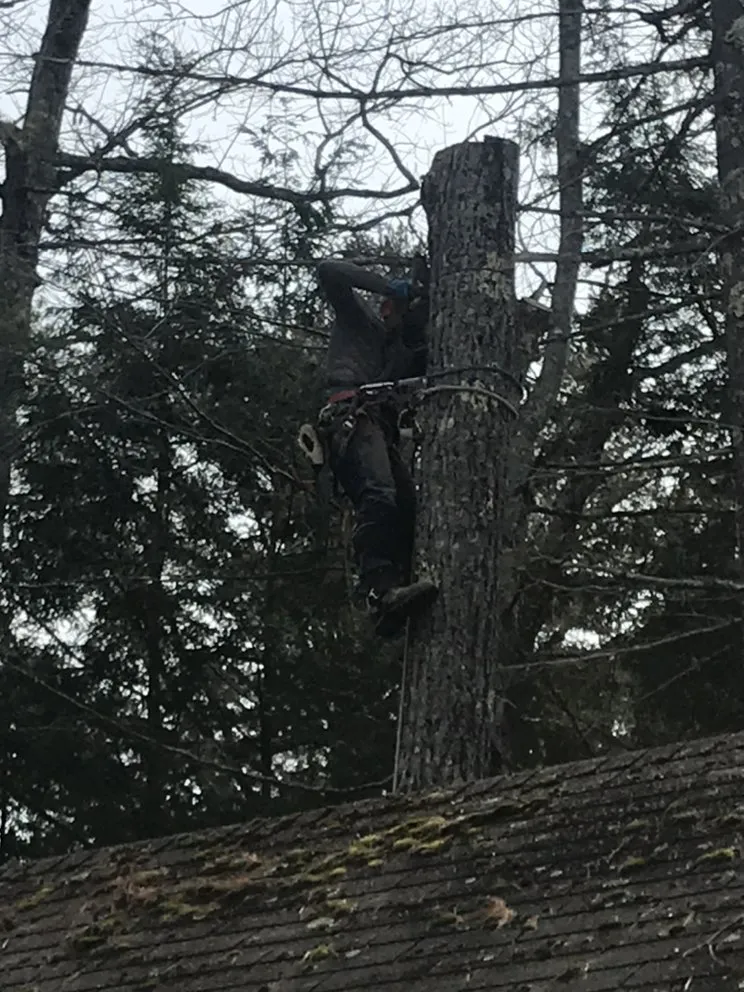 Trusted landscaping services experts serving Laconia, NH - 3 in 1 Property Services