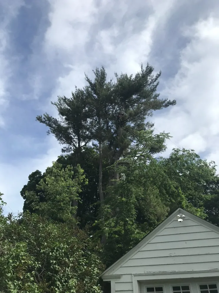 Reliable residential landscaping in Laconia, NH - 3 in 1 Property Services