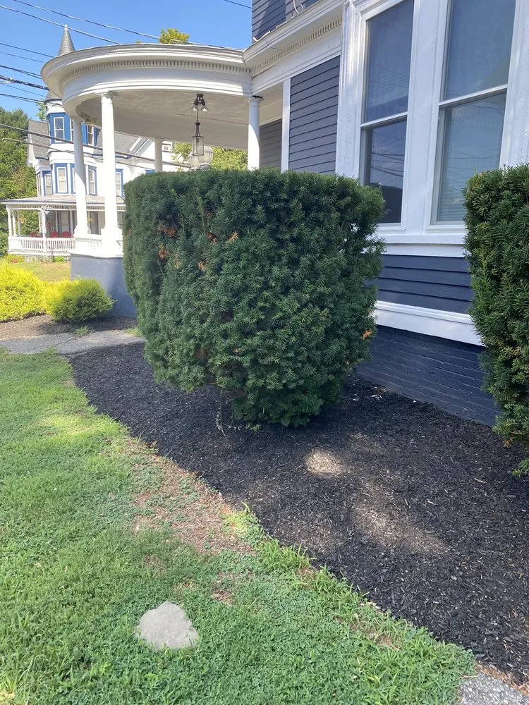 Trusted landscape installation for outdoor upgrades in Laconia, NH by 3 in 1 Property Services