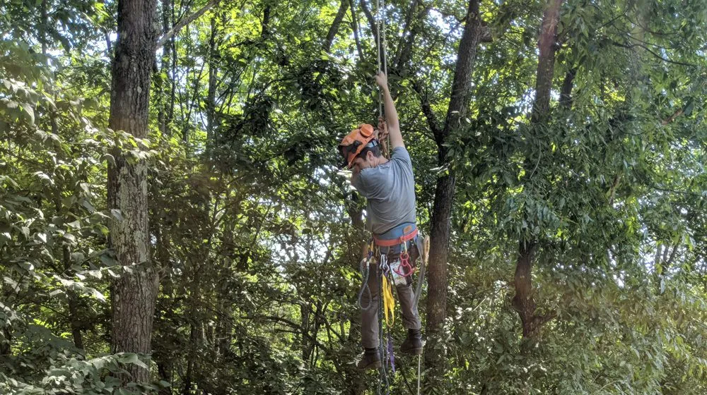 Expert garden landscaping in Laconia, NH by 3 in 1 Property Services