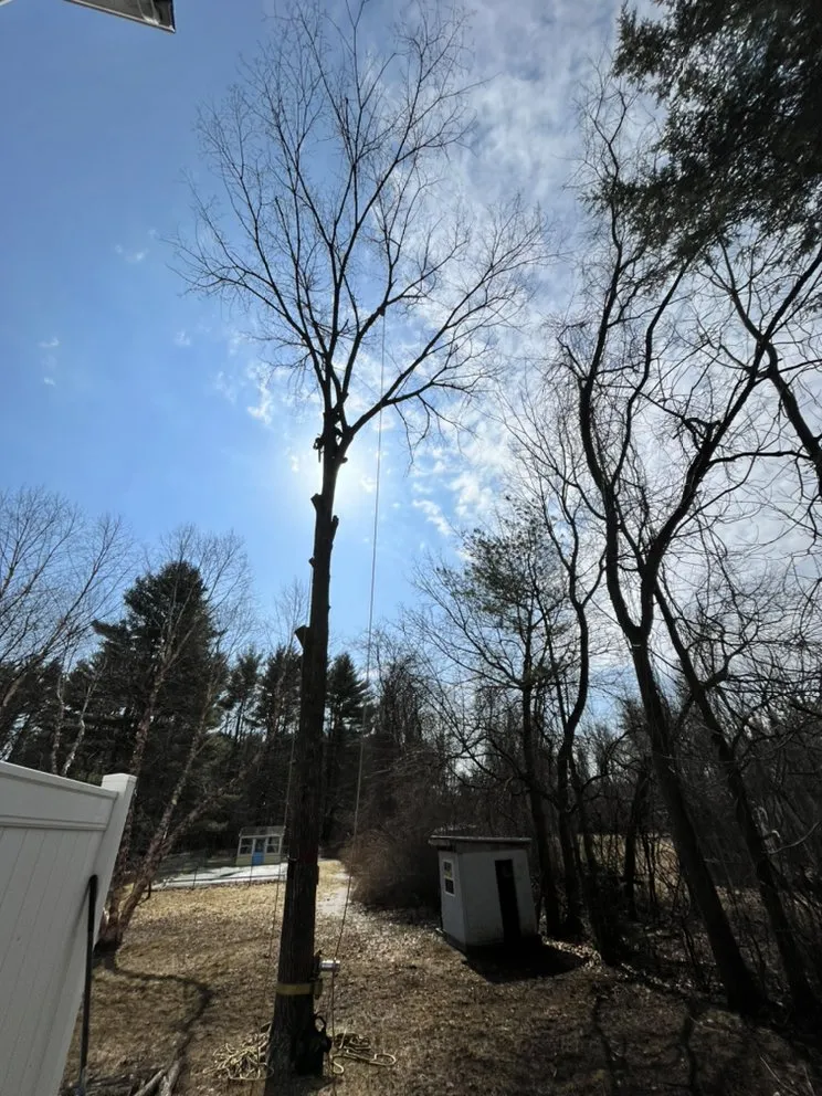 Top-rated lawn mowing service near you in Laconia, NH by 3 in 1 Property Services