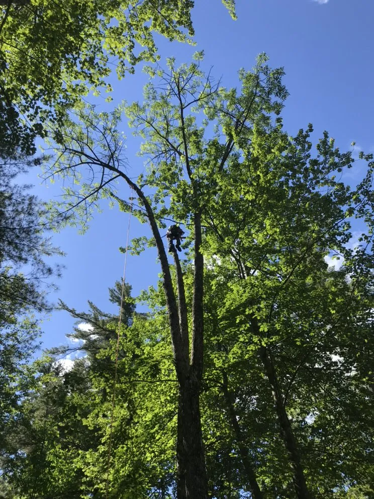 Custom outdoor landscaping near you in Laconia, NH by 3 in 1 Property Services