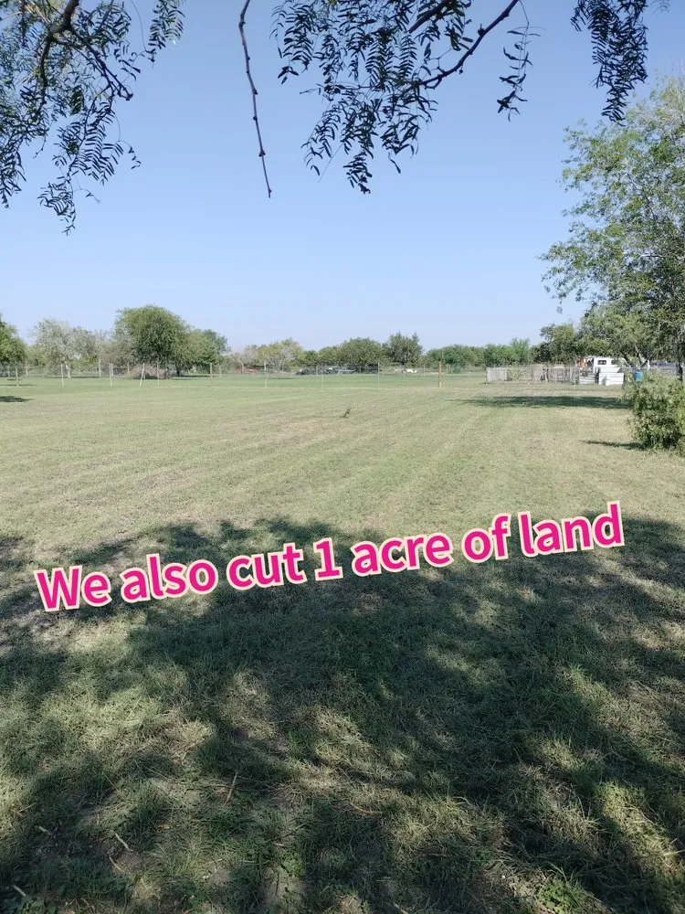 Reliable lawn mowing service experts serving Robstown, TX - 3 J'S Optimistic Service