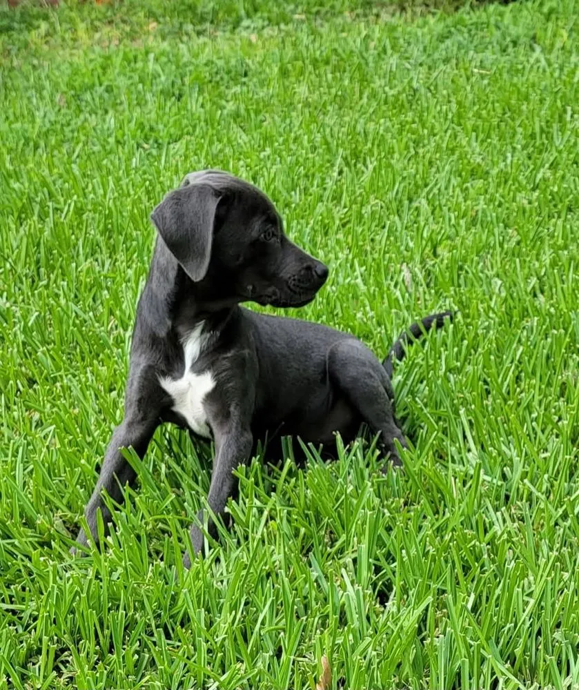 Custom landscape design experts serving Kingsland, TX - 3 Lakes Yard Service & Lindas House Keeping