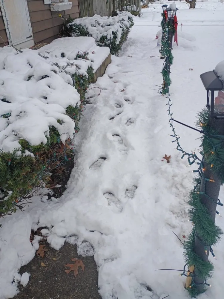 Top-rated outdoor landscaping experts serving Grand Rapids, MI - 3 Legacy Landscaping