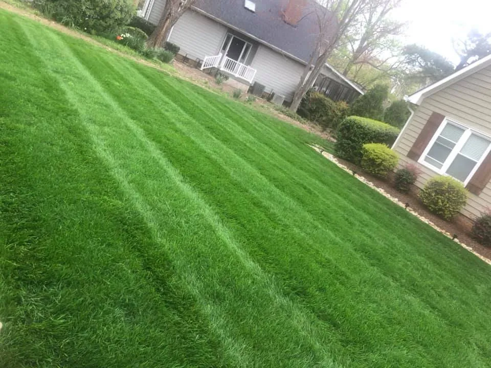 Affordable yard cleanup service in Cornelius, NC - 3 Little Stars Landscape