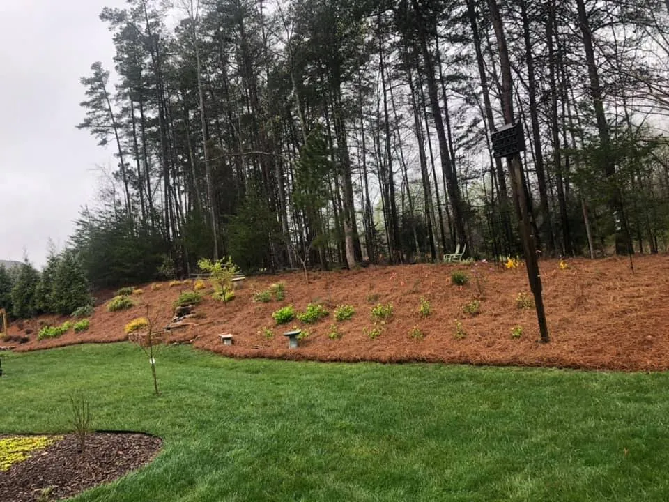 Local landscape installation in Cornelius, NC by 3 Little Stars Landscape