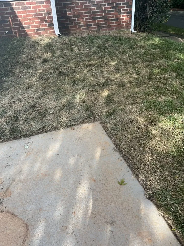 Top-rated yard maintenance for homes in Huntersville, NC by 3 Little Stars Landscape