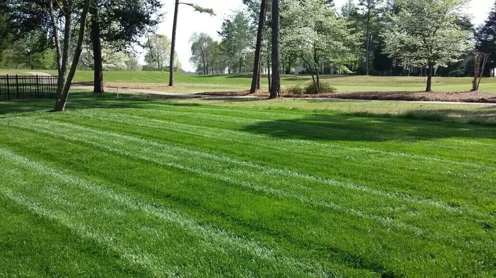 Top-rated residential landscaping experts serving Huntersville, NC - 3 Little Stars Landscape