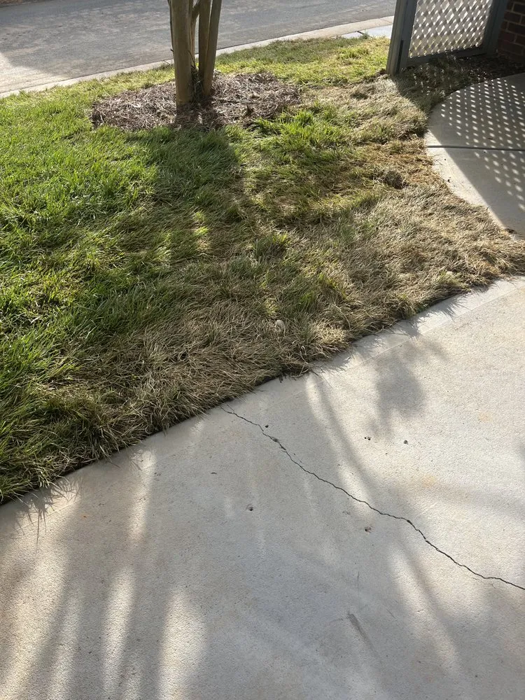 Top-rated lawn mowing service experts serving Huntersville, NC - 3 Little Stars Landscape