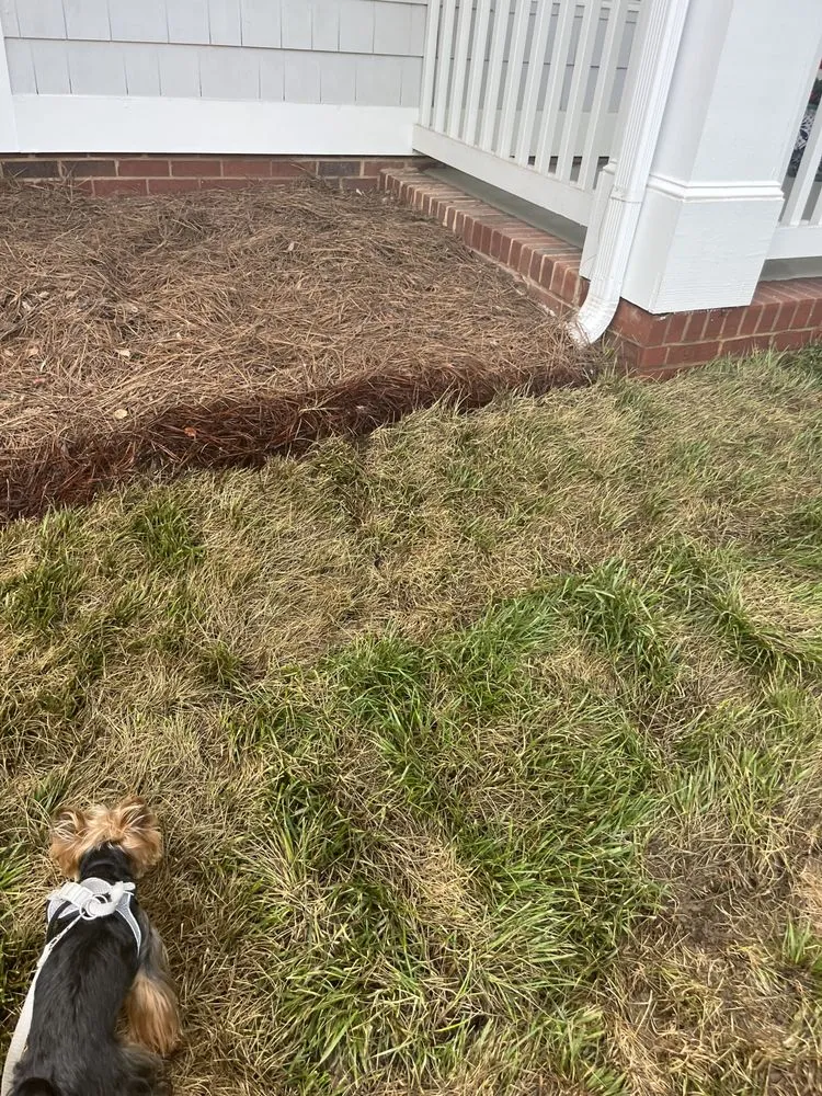 Top-rated yard cleanup service for year-round maintenance across Huntersville, NC - 3 Little Stars Landscape