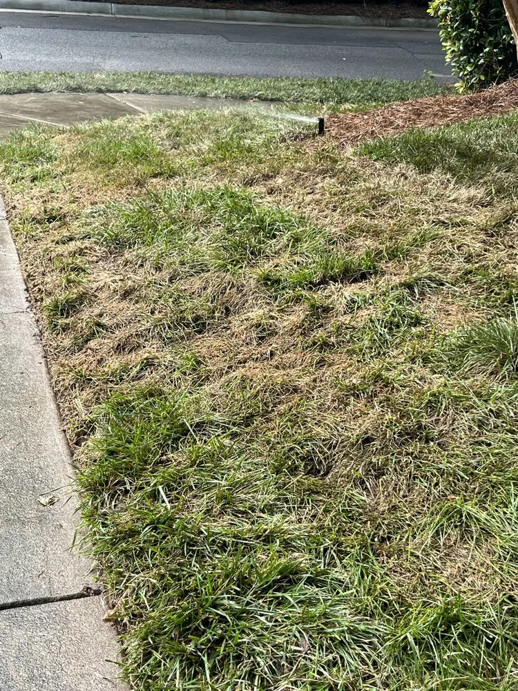 Professional landscape design in Huntersville, NC by 3 Little Stars Landscape