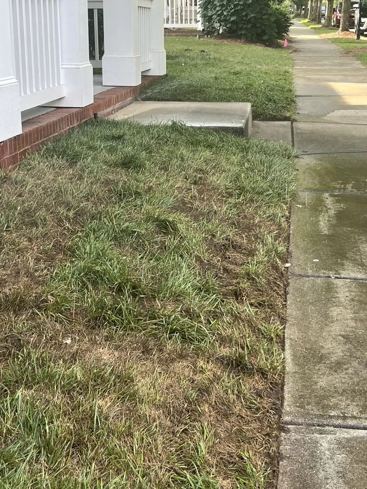 Top-rated yard cleanup service for beautiful yards in Huntersville, NC by 3 Little Stars Landscape