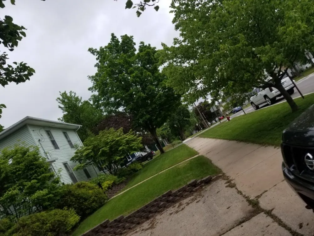 Professional garden landscaping experts serving Big Rapids, MI - 3 Man Tree Service