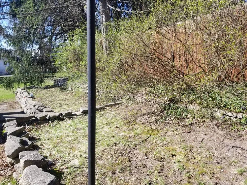 Top-rated outdoor landscaping for homes across Big Rapids, MI - 3 Man Tree Service