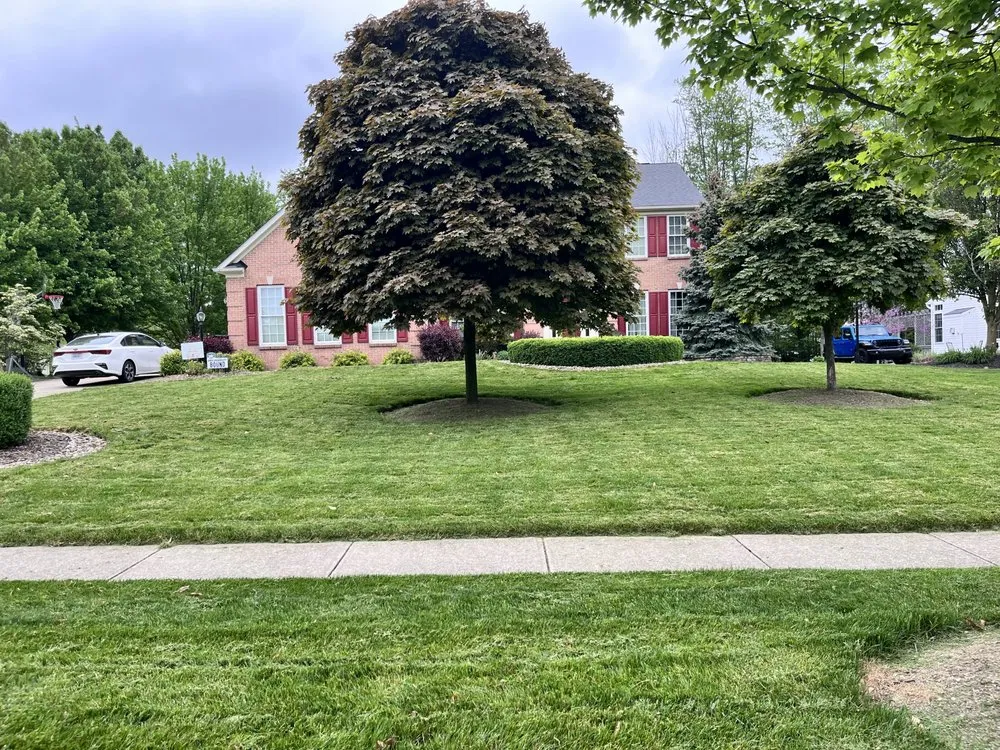 Affordable outdoor landscaping experts serving Twinsburg, OH - 3 musketeers services