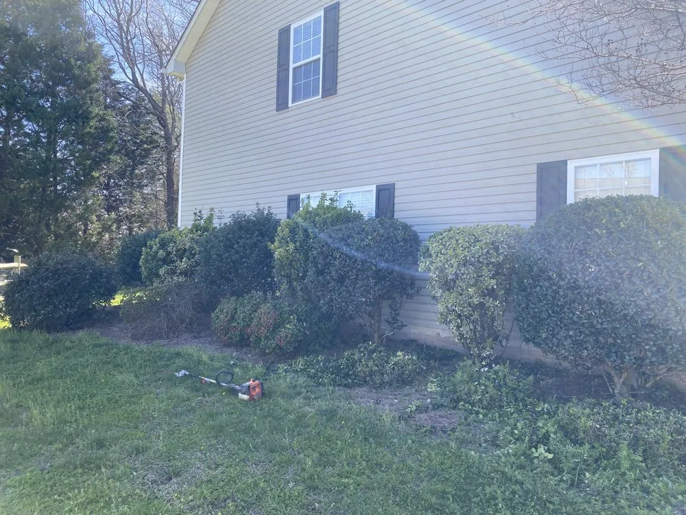 Trusted yard maintenance near you in Charlotte, NC by 3 N 1 Lawn Care
