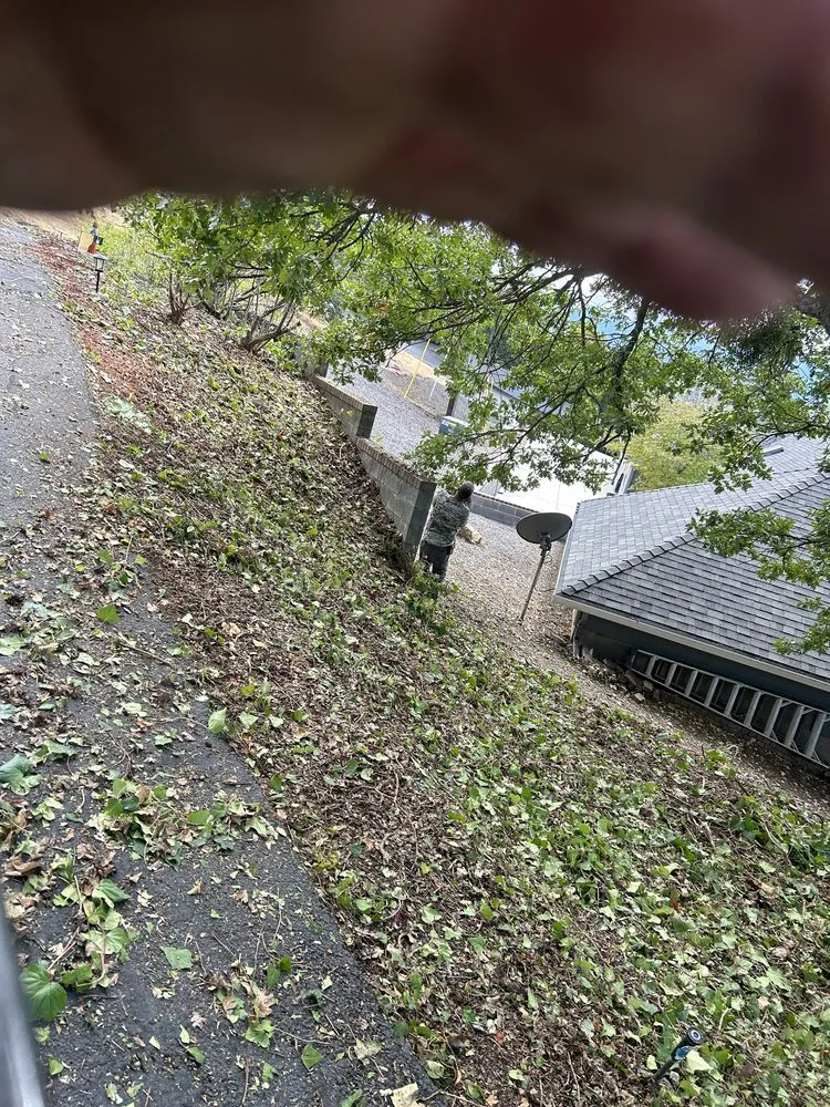 Trusted landscape design in Eagle Point, OR - 3 Oaks Landscape