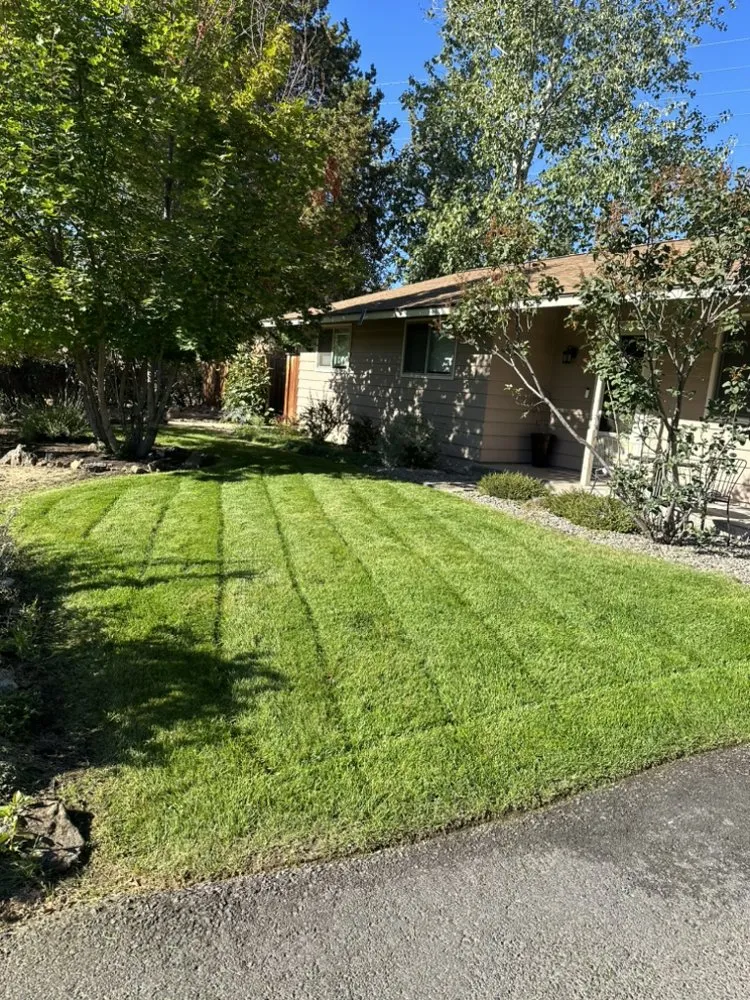 Trusted yard cleanup service near you across Bend, OR - 3 Peaks Lawncare