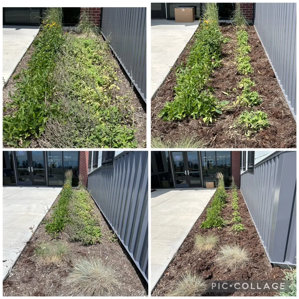 Top-rated residential landscaping in Bozeman, MT by 3 Rivers Garden Care