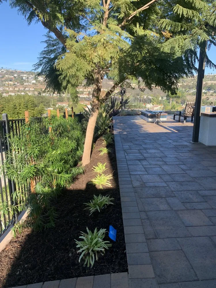 Affordable landscaping services experts serving Vista, CA - 3 Rivers Outscapes & Tree Service