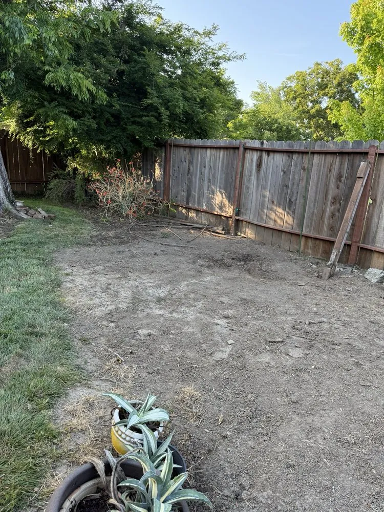 Top-rated yard cleanup service for homes across Vista, CA - 3 Rivers Outscapes & Tree Service