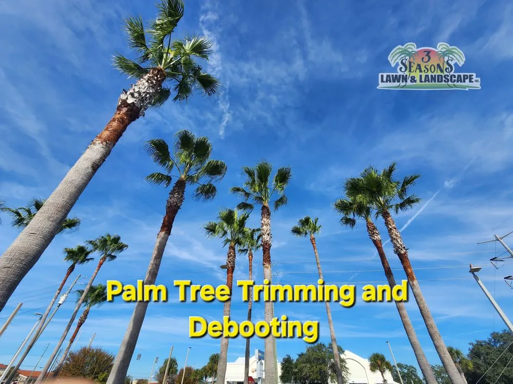 Local residential landscaping in New Port Richey, FL by 3 Seasons Lawn & Landscape