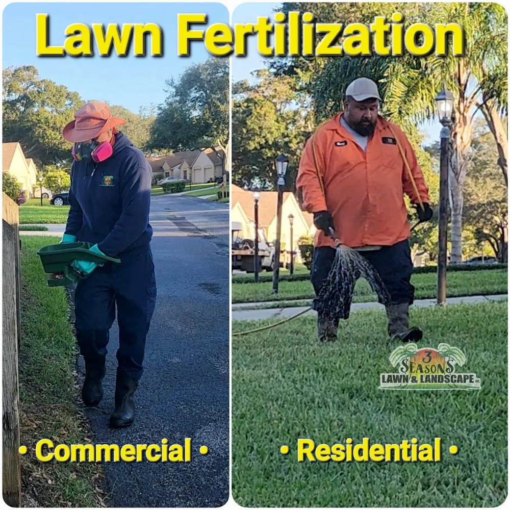 Local lawn care service experts serving New Port Richey, FL - 3 Seasons Lawn & Landscape