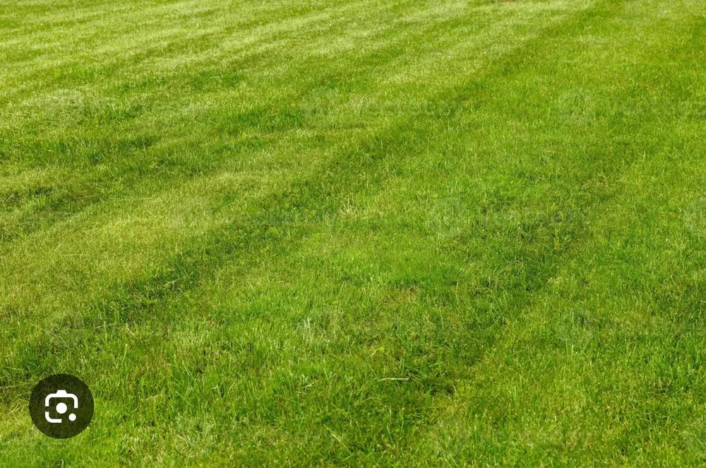 Affordable outdoor landscaping experts serving Carthage, NY - 3 Seasons Lawn &Exterior Maintenance